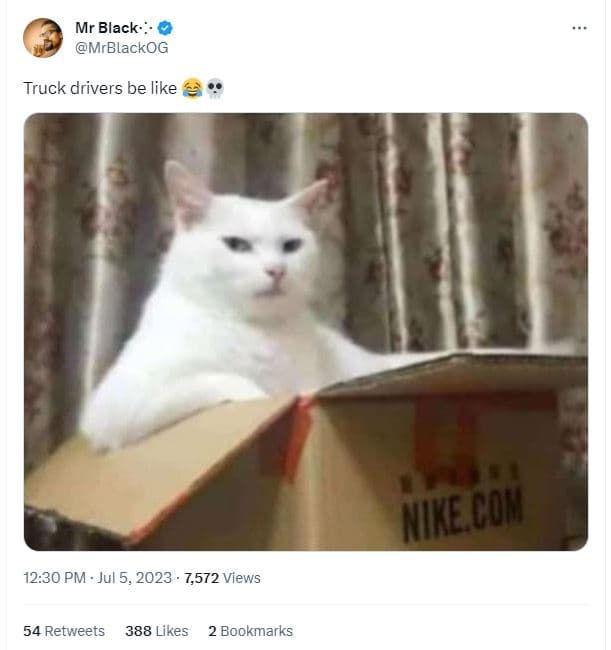 Mr black mrblackog truck drivers be like nine com 12.30 pm jul 5, 7,572 views 54