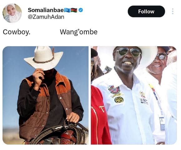 Somalianbae zamuhadan follow cowboy wang'ombe