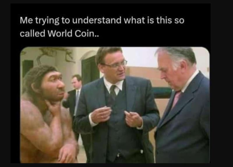 Me trying to understand what is this so called world coin .
