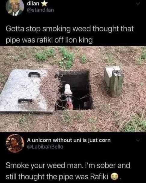 Dilan standilan gotta stop smoking weed thought that pipe was rafiki off lion ki