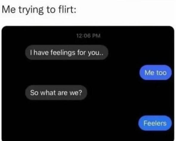 Me trying to flirt 12 06 pm thave feelings for you . me too so what are we? feel