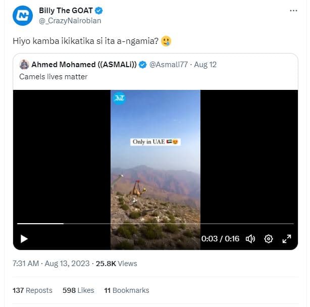 Billy the goat crazynairobian hiyo kamba ikikatika si ita angamia? ahmed mohamed