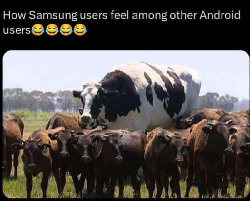 How samsung users feel among other android users