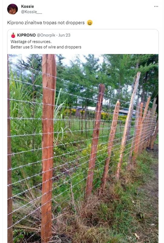 Kossie kossie kiprono zinaitwa tropas not droppers kiprono onorpik jun 23 wastag