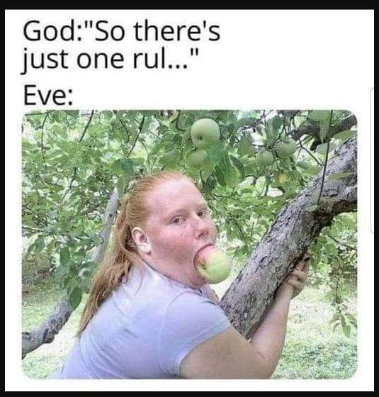 Godso there's just one rul. eve