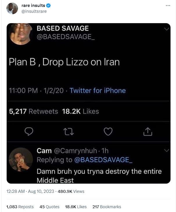 Rare insults insultsrare based savage basedsavage plan b drop lizzo on iran 11.0