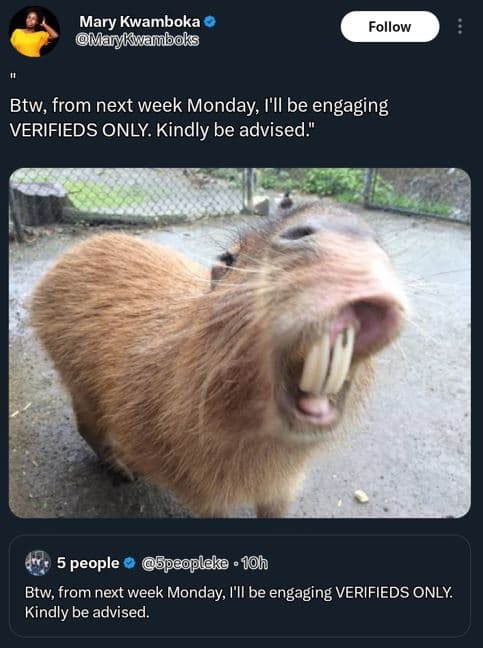 Mary kwamboka marykiwañboks follow btw, from next week monday i'il be engaging v