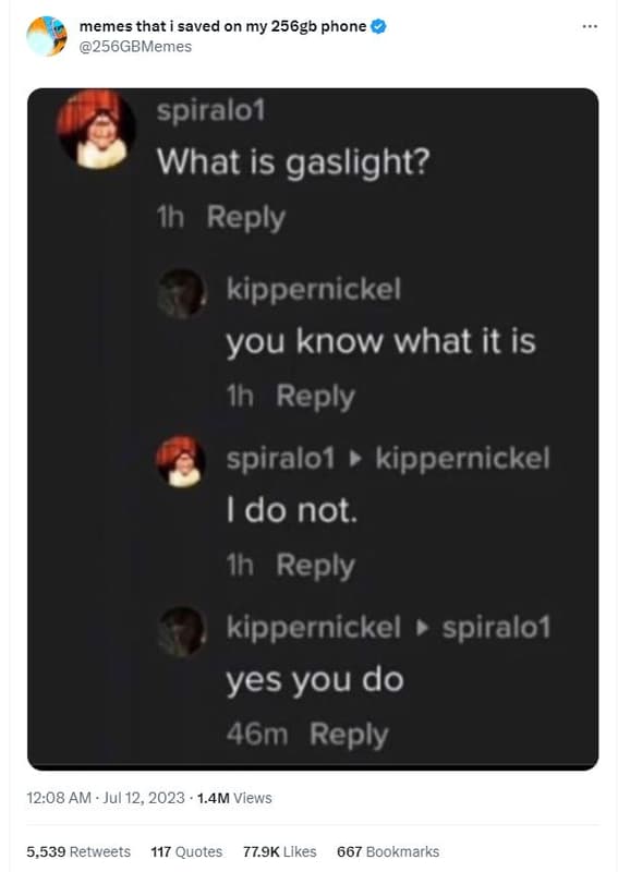 Memes that saved on my 256gb phone 256gbmemes spiralo1 what is gaslight? 1h repl