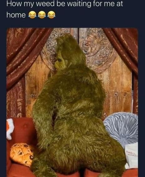 How my weed be waiting for me at home