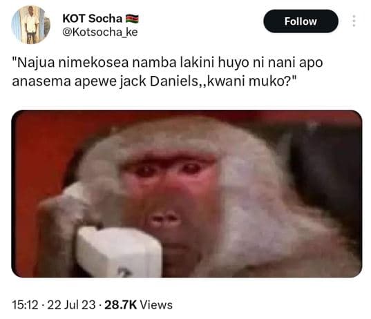 Kot socha kotsocha_ke follow najua nimekosea namba lakini huyo ni nani apo anase