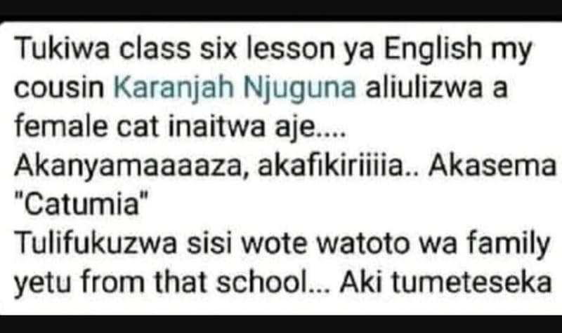 Tukiwa class six lesson ya english my cousin karanjah njuguna aliulizwa a female