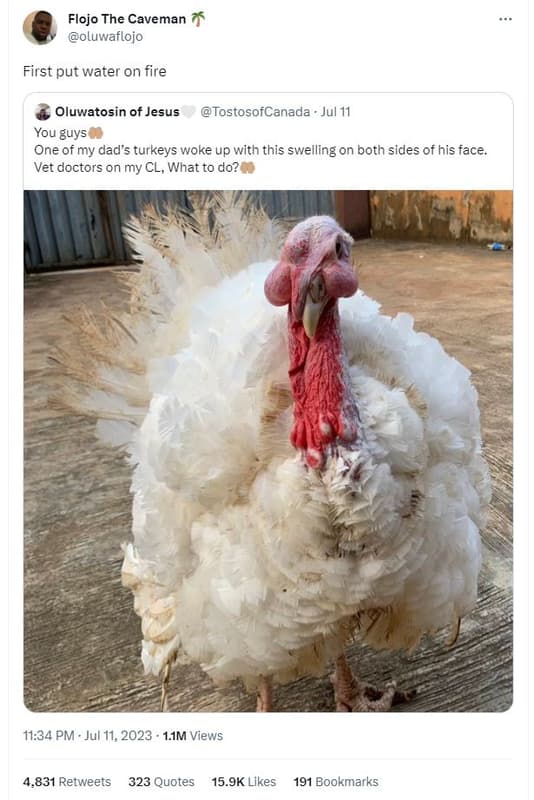 Flojo the caveman oluwaflojo first put water on fire oluwatosin of jesus tostoso