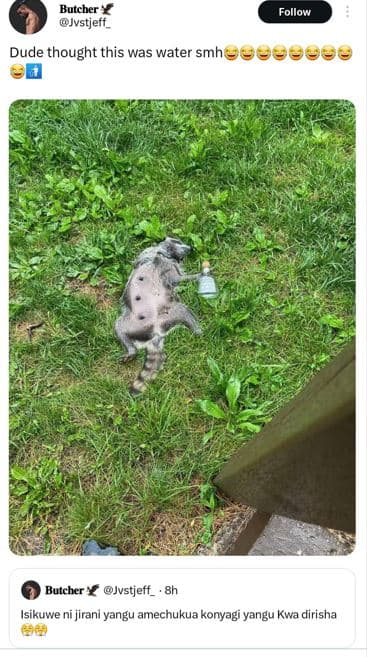 Butcber jvstjeff_ follow dude thought this was water smh butcher y jvstjeff isik