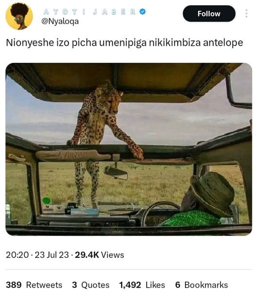 Follow nyaloqa nionyeshe izo picha umenipiga nikikimbiza antelope 20.20 . 23 jul