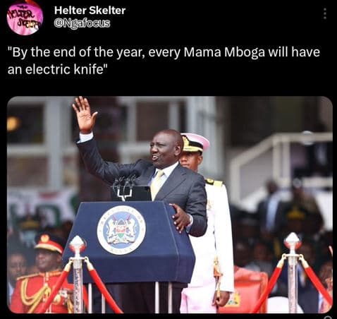 Helter skelter ngalogus by the end of the year, every mama mboga will have an el