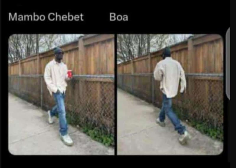 Mambo chebet boa