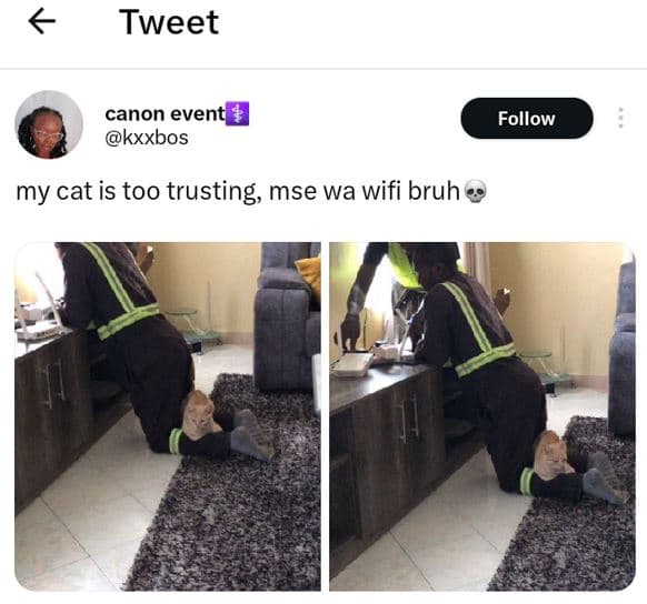 Tweet canon event kxxbos follow my cat is too trusting mse wa wifi bruh