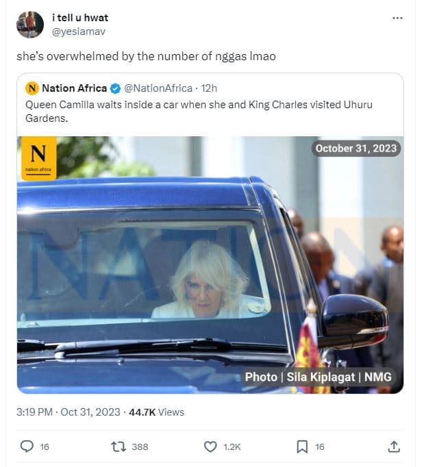 Itell u hwat yesiamav she's overwhelmed by the number of nggas imao nation afric