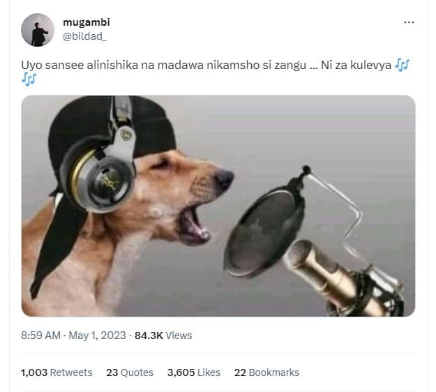 Mugambi bildad_ uyo sansee alinishika na madawa nikamsho si zangu ni za kulevya