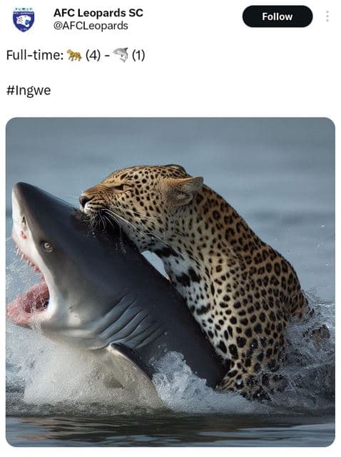 Afc leopards sc afcleopards follow fulltime 4 1 ingwe