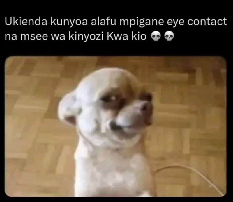 Ukienda kunyoa alafu mpigane eye contact na msee wa kinyozi kwa kio