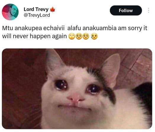 Lord trevy trevylord follow mtu anakupea echaivii alafu anakuambia am sorry it w