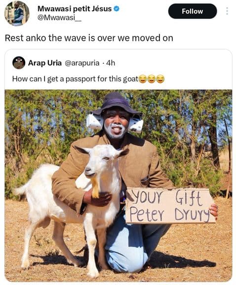 Mwawasi petit jésus mwawasi follow rest anko the wave is over we moved on arap u