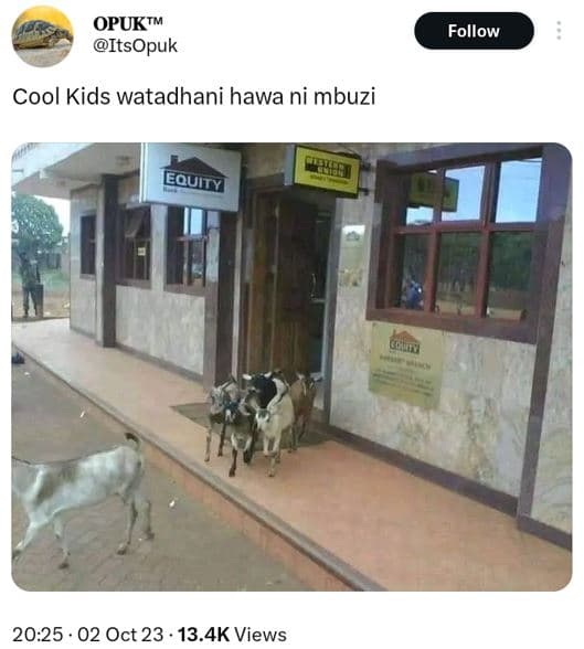 Opuktm itsopuk follow cool kids watadhani hawa ni mbuzi mr 20.25 . 02 oct 23 . 1