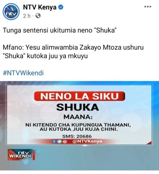 Ntv kenya 2h tunga sentensi ukitumia neno shuka mfano yesu alimwambia zakayo mto
