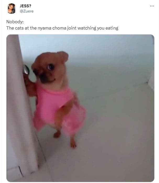 Jess? zuere nobody the cats at the nyama choma joint watching you eating