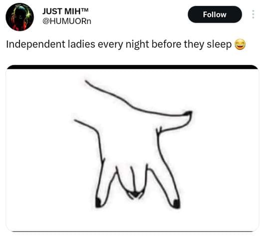 Just mihtm humuorn follow independent ladies every night before they sleep