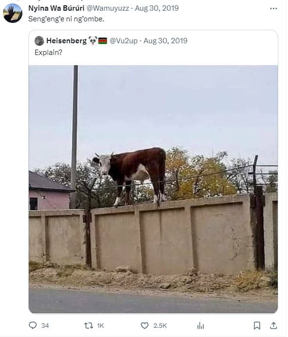 Nyina wa bártri wamuyuzz . aug 30, seng'eng'e ni ng'ombe heisenberg explain? vuz