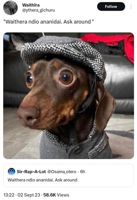 Waithira ythera_gichuru follow 'waithera ndio ananidai. ask around sirrapalot os