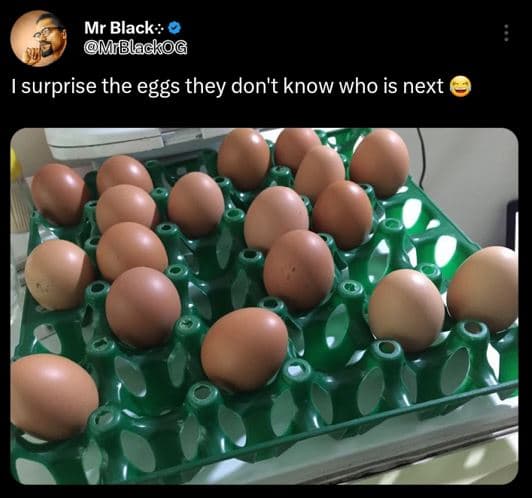 Mr black mblackog surprise the eggs they don't know who is next