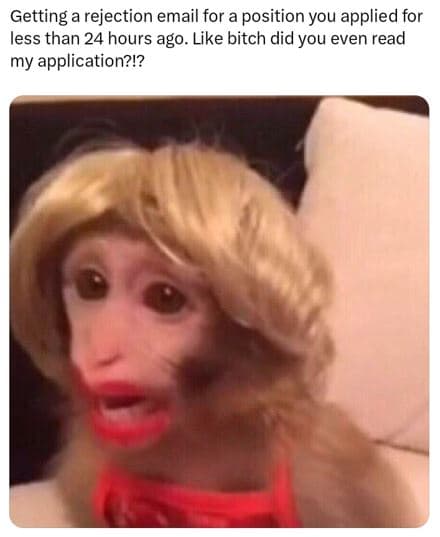 Getting a rejection email for a position you applied for less than 24 hours ago.