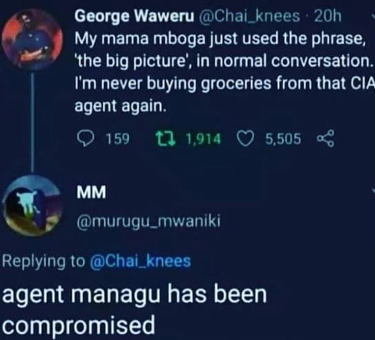 George waweru chai_knees 20h my mama mboga just used the phrase, 'the big pictur