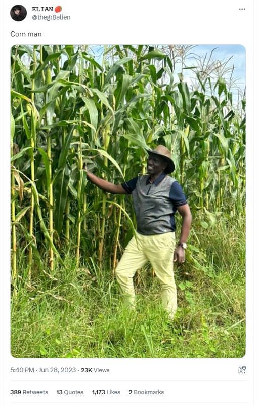 Elian thegrbalien corn man 5.40 pm jun 28, 23k views 389 retweets 13 quotes 1,17