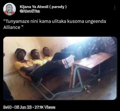 Kijana ya atwoli parody atwolf yaa tunyamaze nini kama ulitaka kusoma ungeenda a