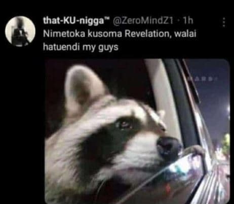 Thatkunigga zeromindz1 ih nimetoka kusoma revelation, walai hatuendi my guys