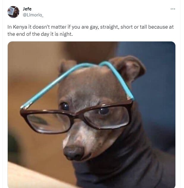 Jefe limorio_ in kenya it doesn't matter if you are gay straight, short or tall