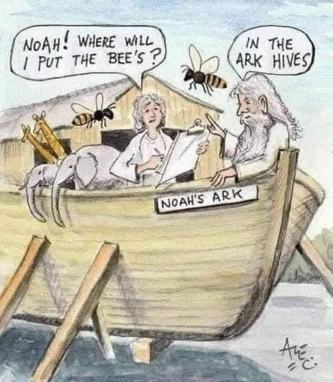 Noah! where will put the bee 's in the ark hives 4 noahs ark xi