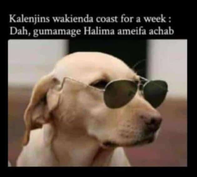 Kalenjins wakienda coast for week dah, gumamage halima ameifa achab