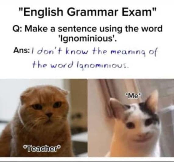 English grammar exam q make a sentence using the word 'ignominious'. ans don' t