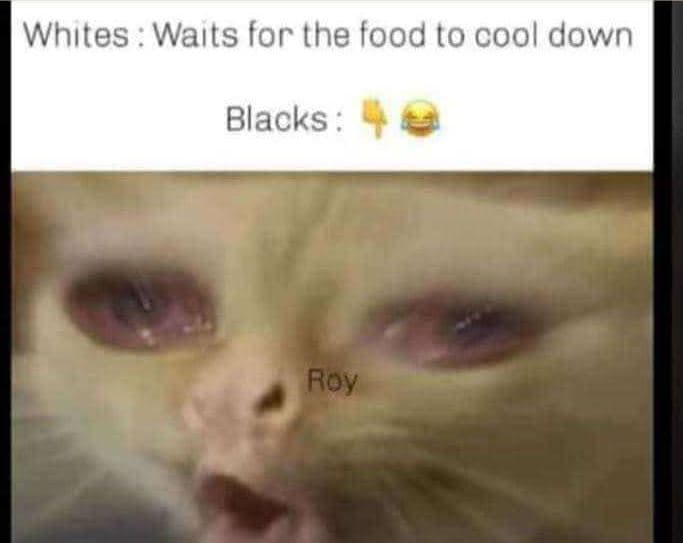 Whıtes waıts for the food to cool down blacks roy