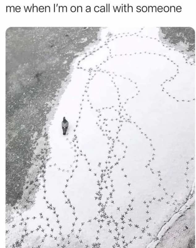 Me when i'm on a call with someone