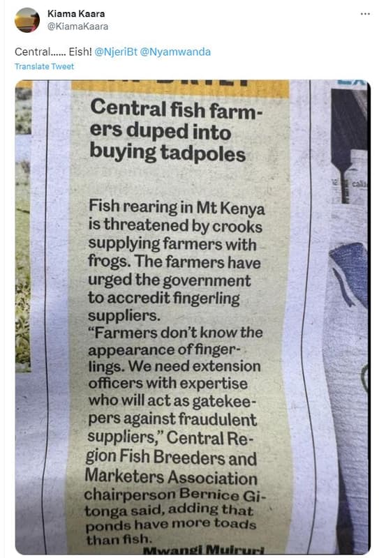 Kiama kaara kiamakaara centra eish! njeribt nyamwanda translate tweet central fi