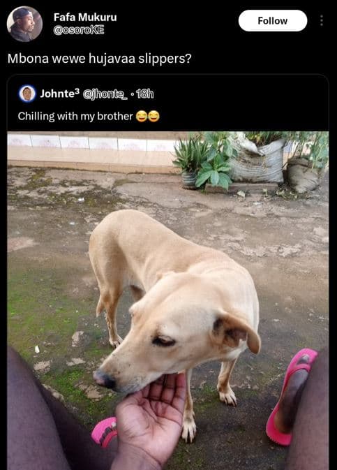 Fafa mukuru osoroke follow mbona wewe hujavaa slippers? johnte? jhonc ' 18h chil