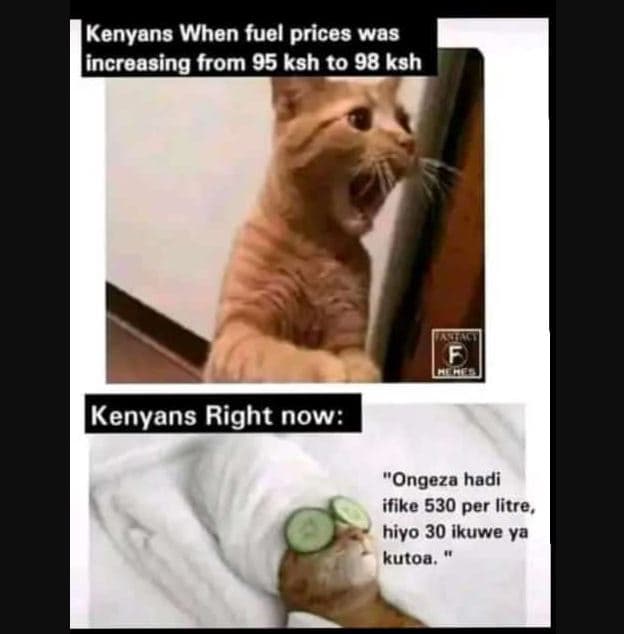 Kenyans when fuel prices was increasing from 95 ksh to 98 ksh kenyans right now