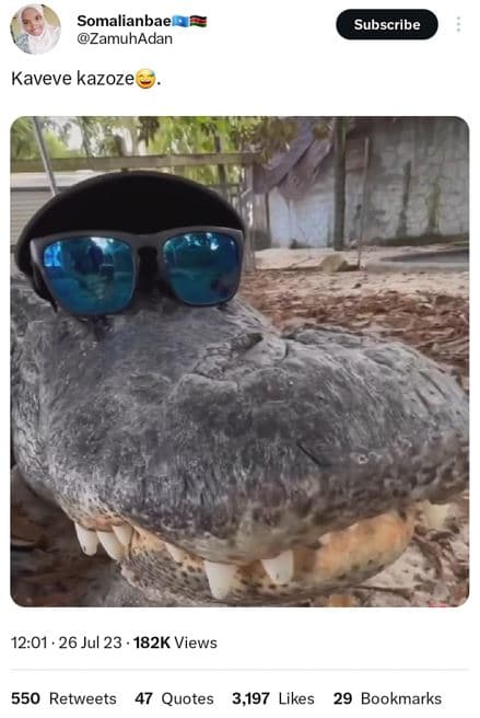Somalianbae zamuhadan subscribe kaveve kazoze 12.01 . 26 jul 23 . 182k views 550