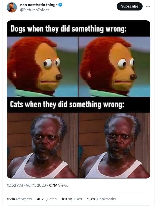 Non aesthetic things picturesfoider subscribe dogs when they did something wrong